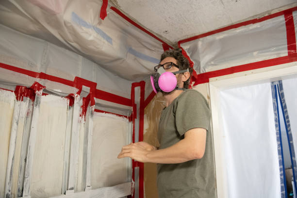 Best Mold Prevention Services  in Shelley, ID