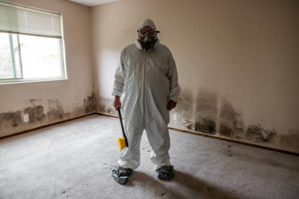 Best Residential Mold Inspection & Testing  in Shelley, ID